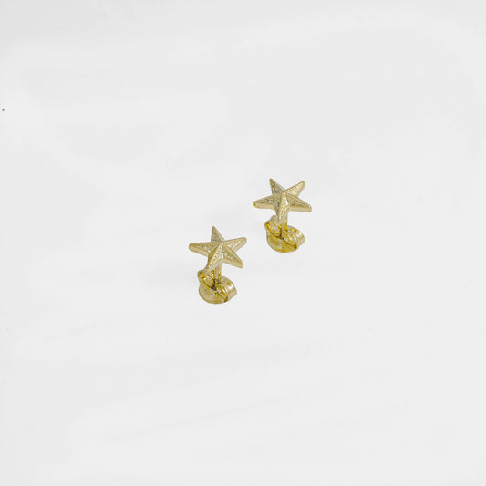 ARETES ESTRELLA DE MAR