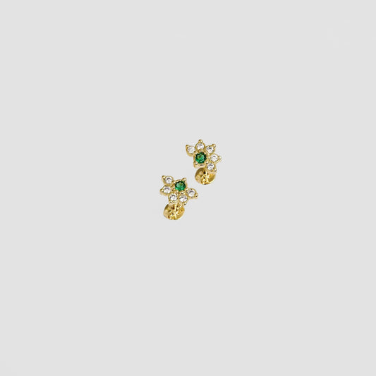 ARETES PAVO REAL